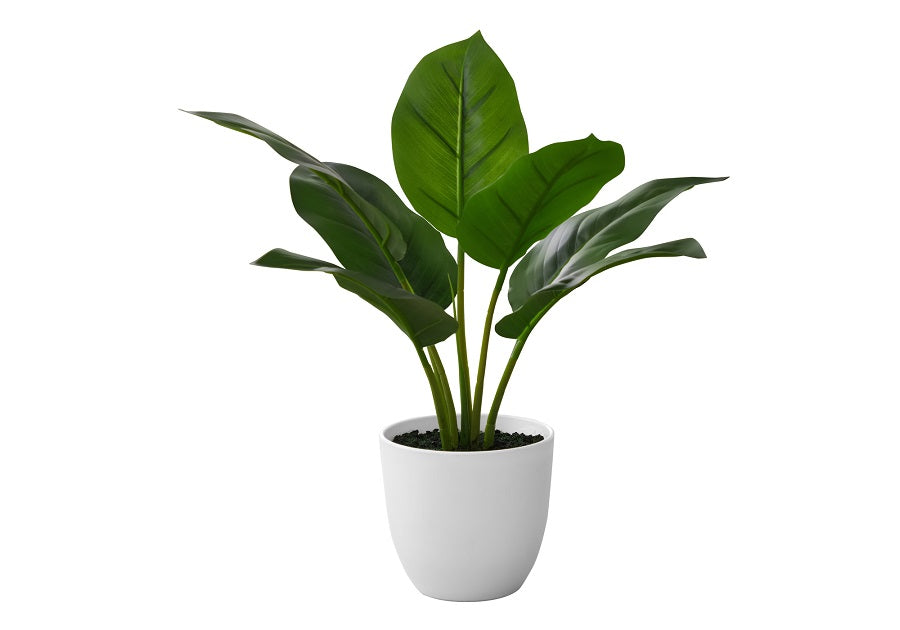 I-9502 Artificial plant 17"H / indoor aureum in a 5" pot - Optimum Plus