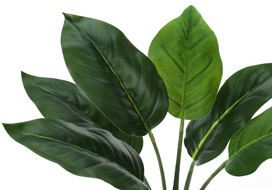 I-9502 Artificial plant 17"H / indoor aureum in a 5" pot - Optimum Plus