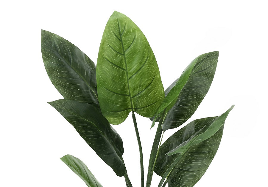 I-9509 Artificial plant 37"H / indoor aureum in a 6" pot - Optimum Plus