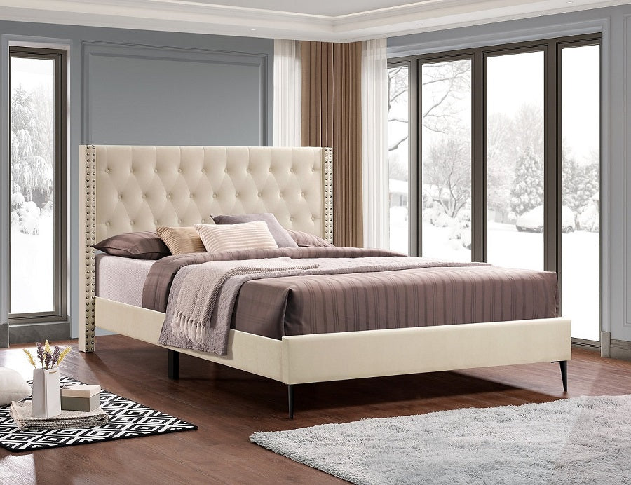 IF-5592 bed 60" (Creme) - Optimum Plus
