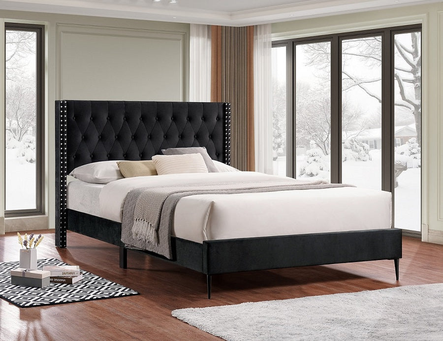 IF-5593 bed 60" (Black) - Optimum Plus