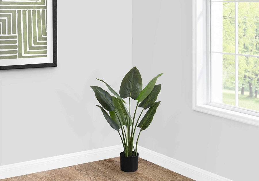 I-9509 Artificial plant 37"H / indoor aureum in a 6" pot - Optimum Plus