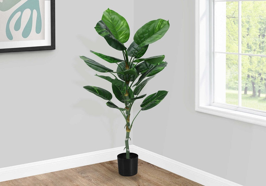 I-9519 Artificial plant 54"H / indoor dieffenbachia / 6" pot - Optimum Plus