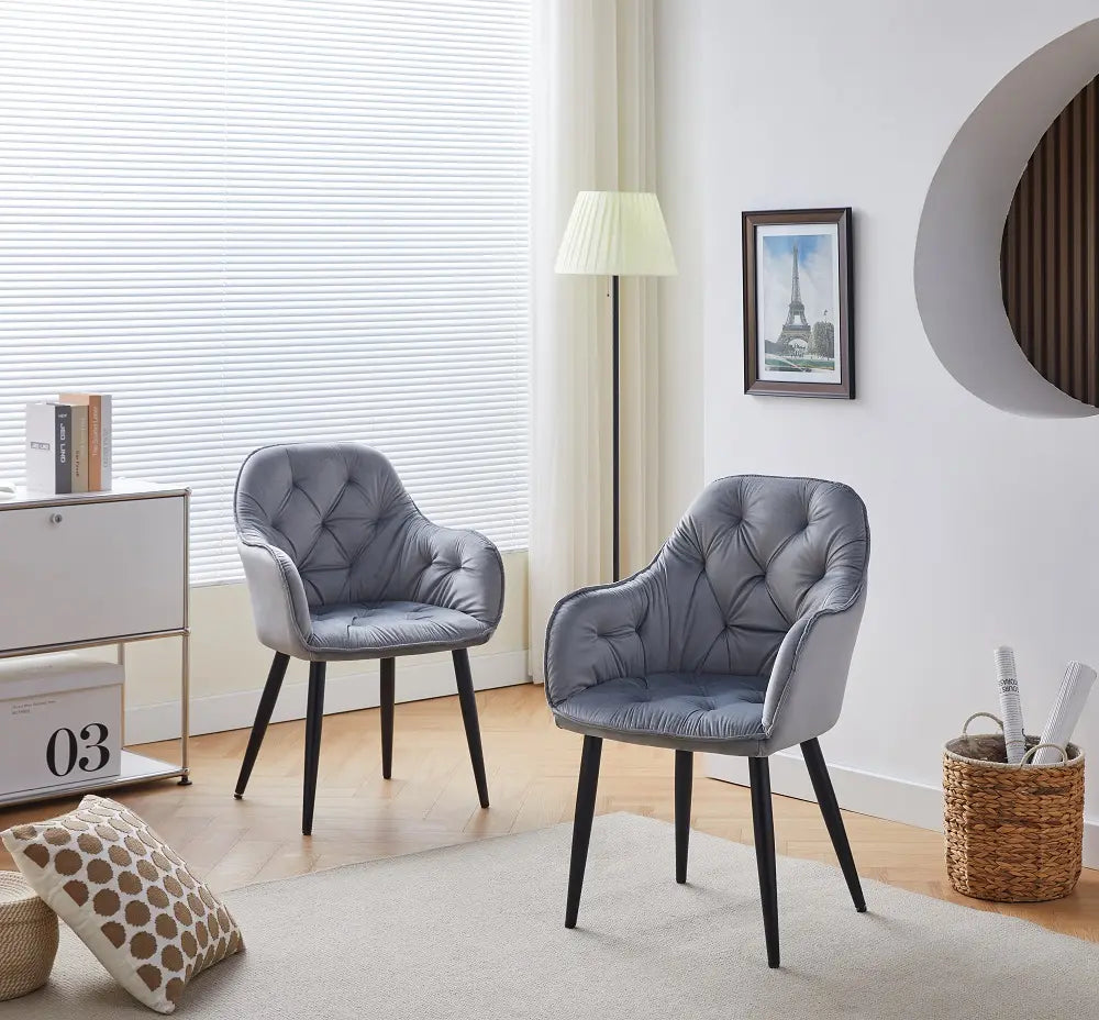 Chaises S-2613 (gris) 2pcs